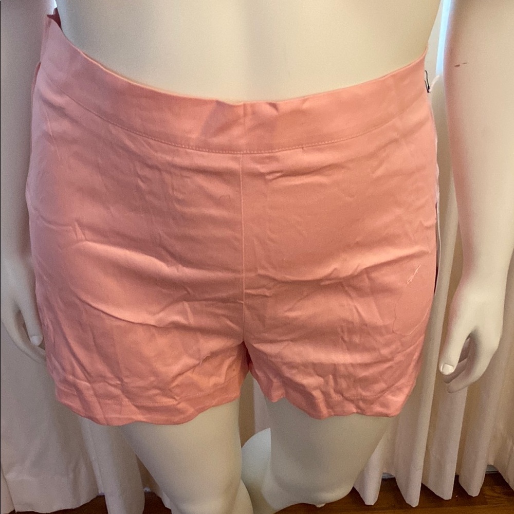 Unique Vintage Pink High Waist Shorts